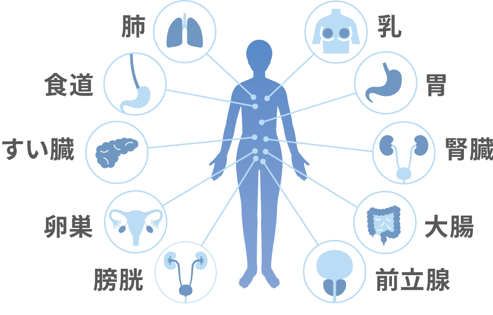 a97ee939c91efde00e8f5c3539c0bf0c