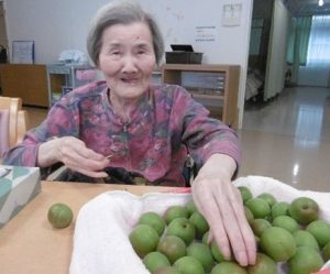 大粒の梅
