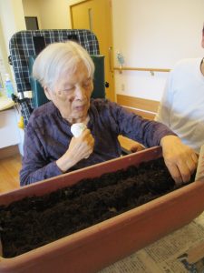 土とふれあいながら種まき