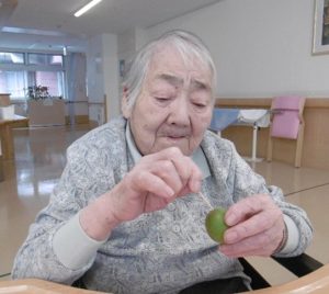 梅のヘタ取り