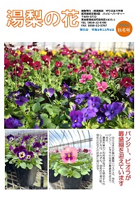令和6年度　広報紙「湯梨の花」秋冬号の表紙